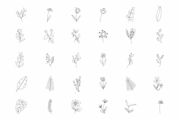 30 Floral Line Art Graphics for Illustrations