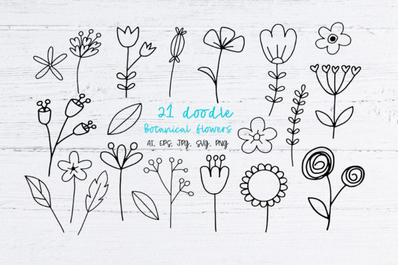 Flowers, Hand Drawn Floral Clipart for Branding and Packaging